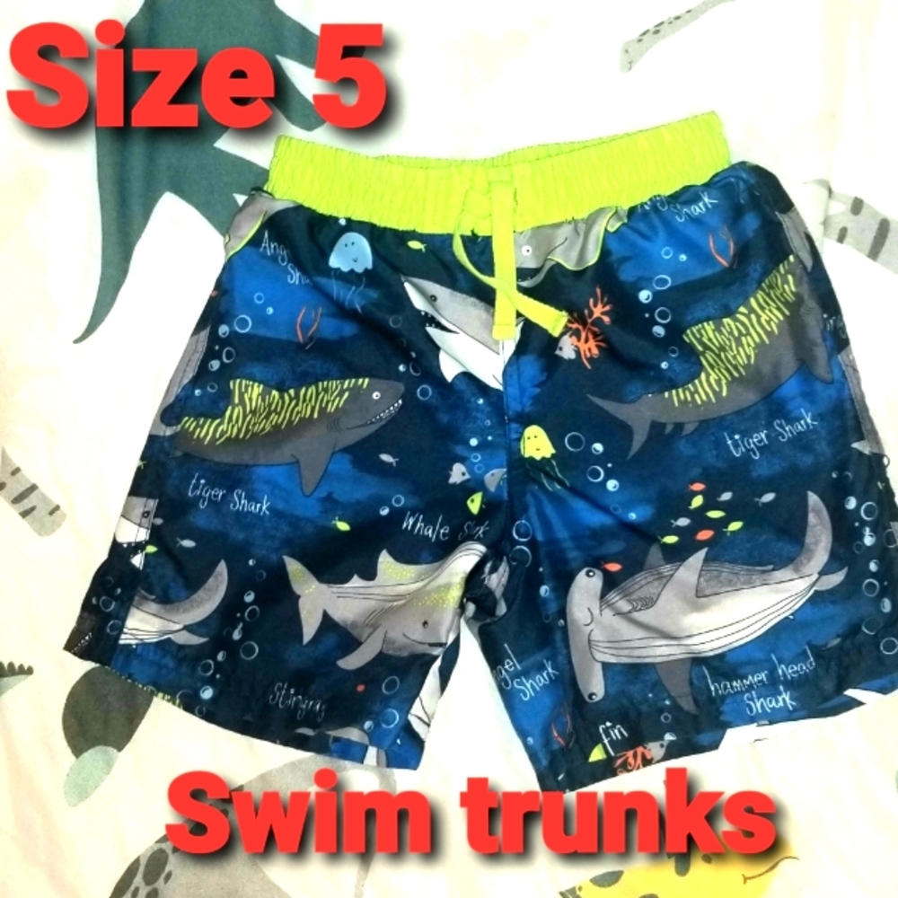Swim Trunks